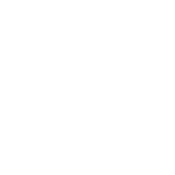 Fossil Group, Inc. Share Price
